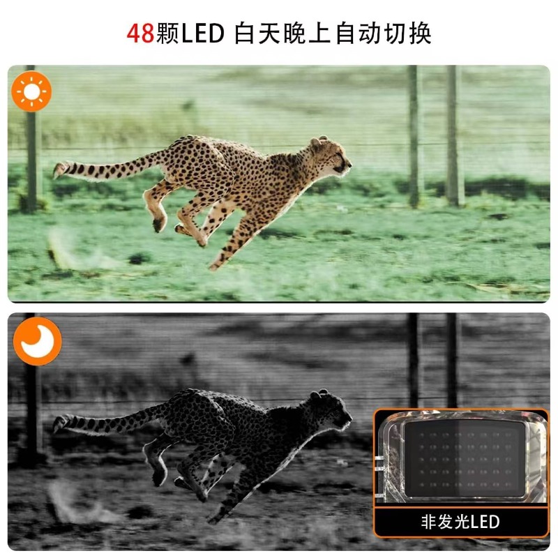 大特価セール DL001 ハンティングカメラ 動物追跡 ハン - Hunting Outdoor Camera のレビューと価格